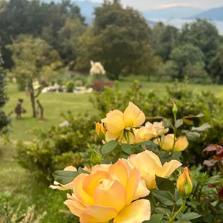 Prázdninový dům Casa Fiorita, Luino, Il Tempo Rallenta Tra E Fiori Luino