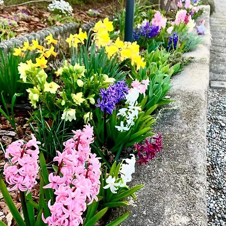 Prázdninový dům Casa Fiorita, Luino, Il Tempo Rallenta Tra E Fiori