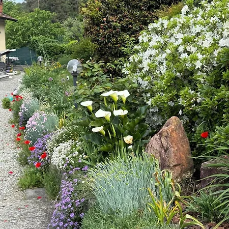 Dom wakacyjny Casa Fiorita, Luino, Il Tempo Rallenta Tra E Fiori *