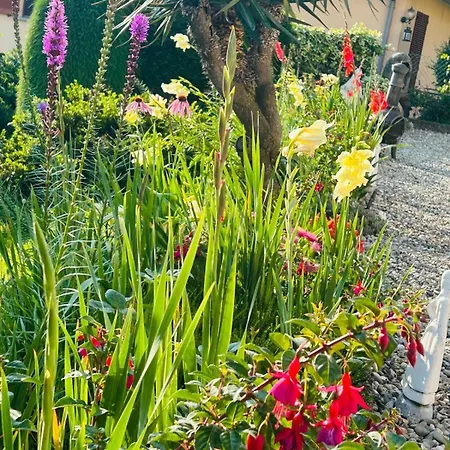 Casa Fiorita, Luino, Il Tempo Rallenta Tra E Fiori Dom wakacyjny
