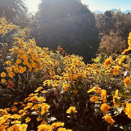 Casa Fiorita, Luino, Il Tempo Rallenta Tra E Fiori Nyaraló *