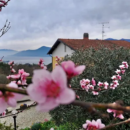 Casa Fiorita, Luino, Il Tempo Rallenta Tra E Fiori *