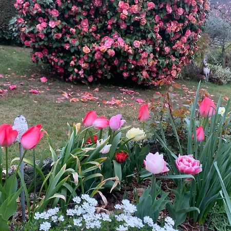 Dom wakacyjny Casa Fiorita, Luino, Il Tempo Rallenta Tra E Fiori