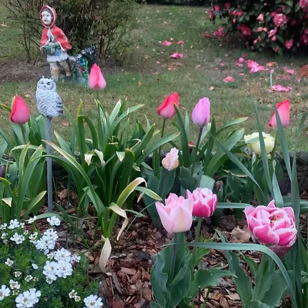 Prázdninový dům Casa Fiorita, Luino, Il Tempo Rallenta Tra E Fiori