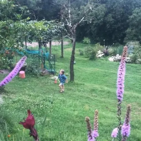 Casa Fiorita, Luino, Il Tempo Rallenta Tra E Fiori *