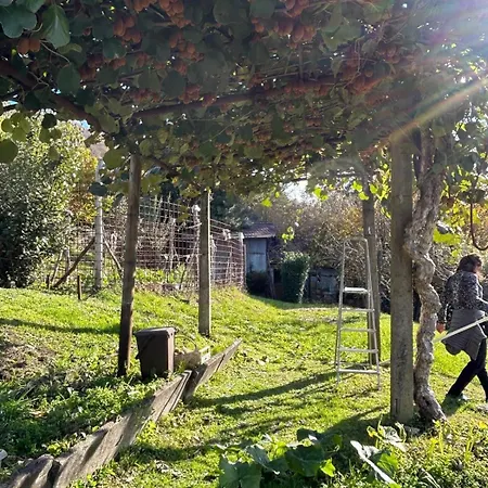 Prázdninový dům Casa Fiorita, Luino, Il Tempo Rallenta Tra E Fiori Luino