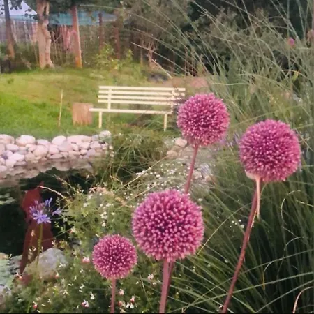 Casa Fiorita, Luino, Il Tempo Rallenta Tra E Fiori Luino