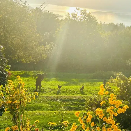 Casa Fiorita, Luino, Il Tempo Rallenta Tra E Fiori Dom wakacyjny *