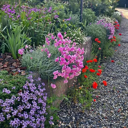 Dom wakacyjny Casa Fiorita, Luino, Il Tempo Rallenta Tra E Fiori *