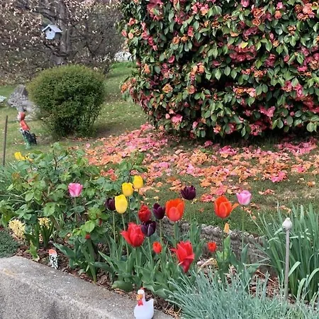 Casa Fiorita, Luino, Il Tempo Rallenta Tra E Fiori * Luino