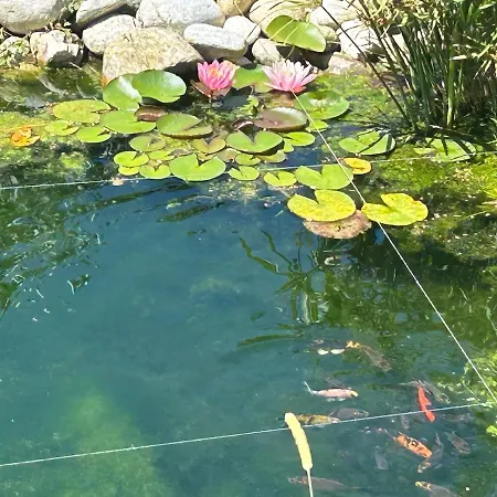 Prázdninový dům Casa Fiorita, Luino, Il Tempo Rallenta Tra E Fiori Luino