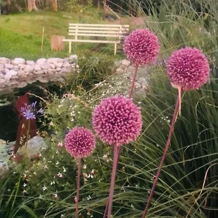Casa Fiorita, Luino, Il Tempo Rallenta Tra E Fiori Luino