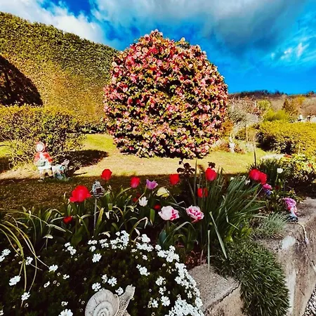 Casa Fiorita, Luino, Il Tempo Rallenta Tra E Fiori Dom wakacyjny