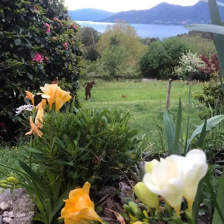 Casa Fiorita, Luino, Il Tempo Rallenta Tra E Fiori * Luino
