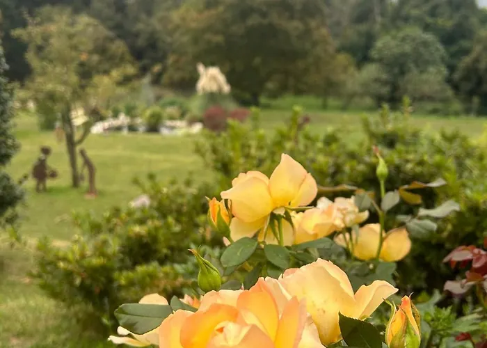 Nyaraló Casa Fiorita, Luino, Il Tempo Rallenta Tra E Fiori Luino