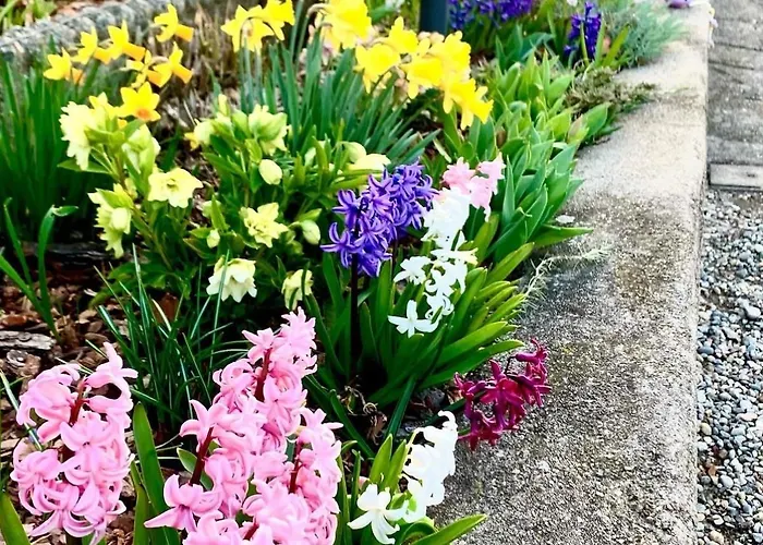 Nyaraló Casa Fiorita, Luino, Il Tempo Rallenta Tra E Fiori