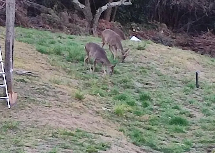 Casa Fiorita, Luino, Il Tempo Rallenta Tra E Fiori Nyaraló *