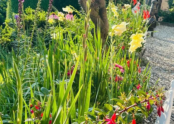 Casa Fiorita, Luino, Il Tempo Rallenta Tra E Fiori Holiday home