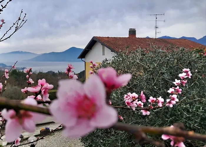 Casa Fiorita, Luino, Il Tempo Rallenta Tra E Fiori *
