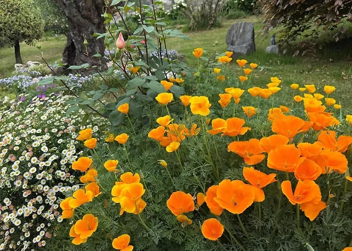 Nyaraló Casa Fiorita, Luino, Il Tempo Rallenta Tra E Fiori Luino