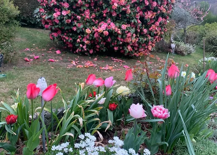 Holiday home Casa Fiorita, Luino, Il Tempo Rallenta Tra E Fiori