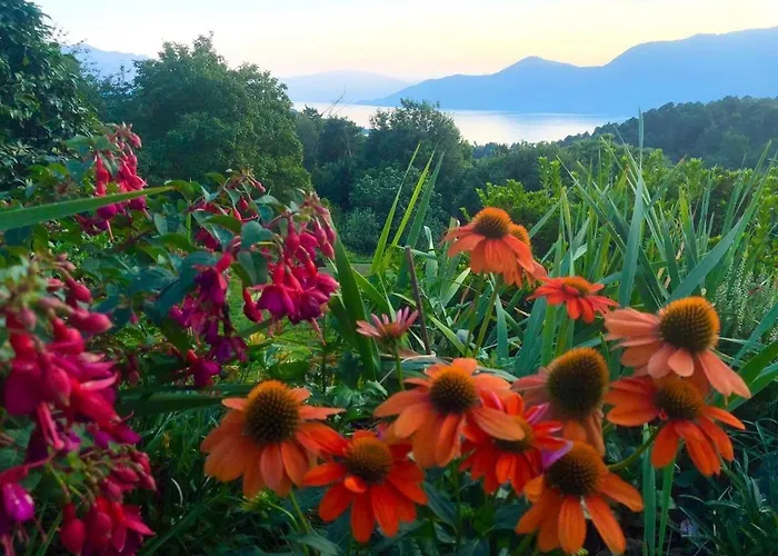 Casa Fiorita, Luino, Il Tempo Rallenta Tra E Fiori Luino