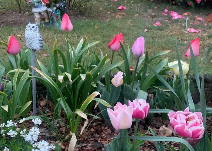 Nyaraló Casa Fiorita, Luino, Il Tempo Rallenta Tra E Fiori