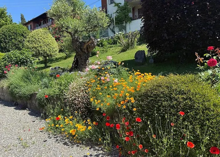 Casa Fiorita, Luino, Il Tempo Rallenta Tra E Fiori Luino