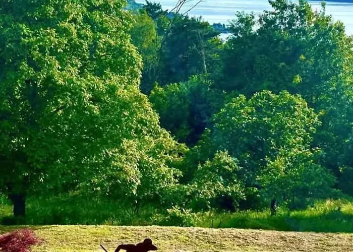 Casa Fiorita, Luino, Il Tempo Rallenta Tra E Fiori Nyaraló Luino