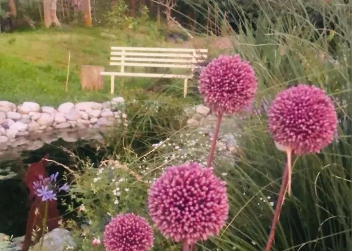 Casa Fiorita, Luino, Il Tempo Rallenta Tra E Fiori Luino