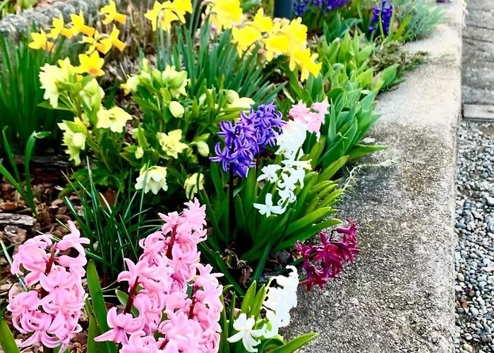 Casa Fiorita, Luino, Il Tempo Rallenta Tra E Fiori Luino