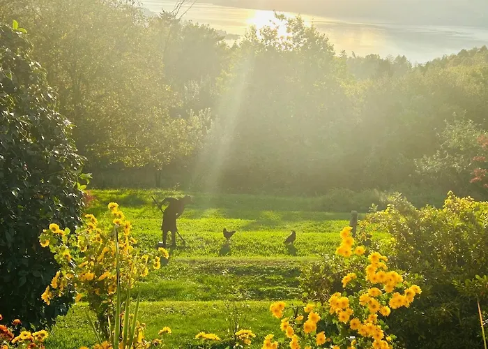 Casa Fiorita, Luino, Il Tempo Rallenta Tra E Fiori Nyaraló *