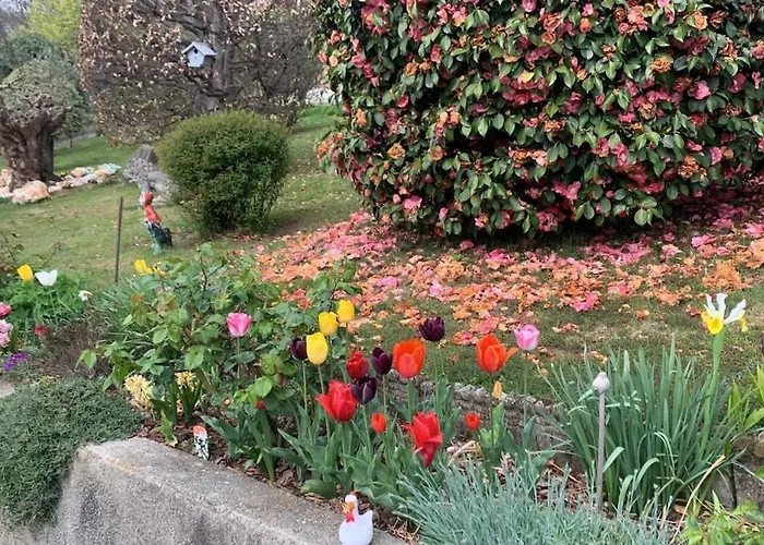 Casa Fiorita, Luino, Il Tempo Rallenta Tra E Fiori * Luino