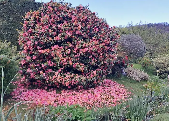 Casa Fiorita, Luino, Il Tempo Rallenta Tra E Fiori