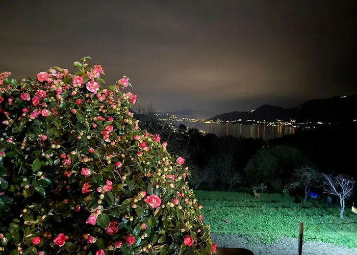 Casa Fiorita, Luino, Il Tempo Rallenta Tra E Fiori Luino