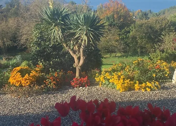 Casa Fiorita, Luino, Il Tempo Rallenta Tra E Fiori