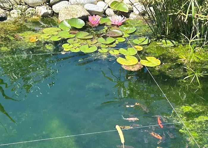 Nyaraló Casa Fiorita, Luino, Il Tempo Rallenta Tra E Fiori Luino