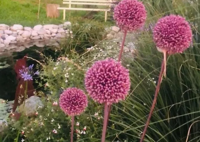 Casa Fiorita, Luino, Il Tempo Rallenta Tra E Fiori Luino