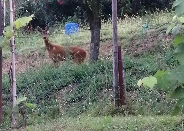 Nyaraló Casa Fiorita, Luino, Il Tempo Rallenta Tra E Fiori *