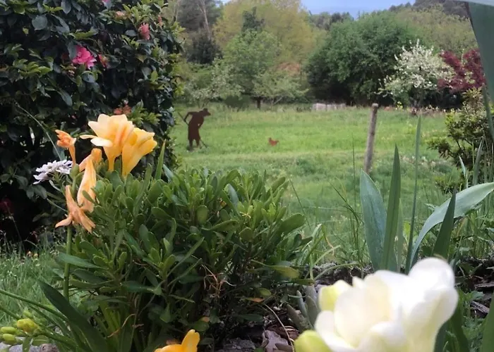 Casa Fiorita, Luino, Il Tempo Rallenta Tra E Fiori * Luino